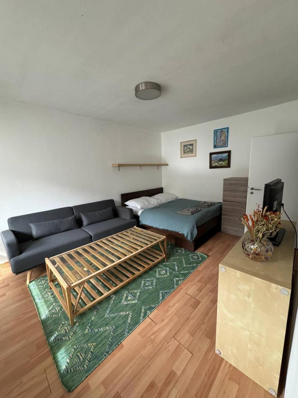 Skau Kutuzovova Free Parking Apartmán